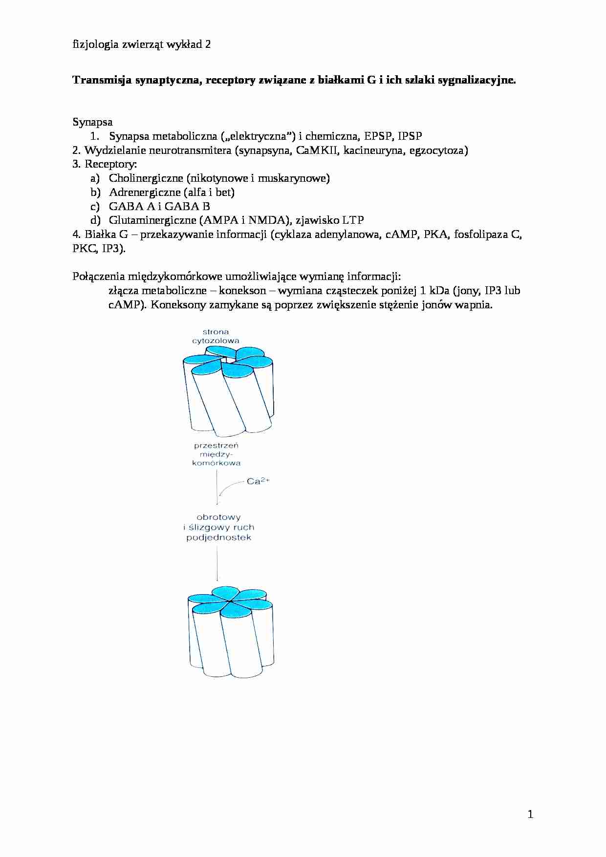 Transmisja synaptyczna, receptory - strona 1