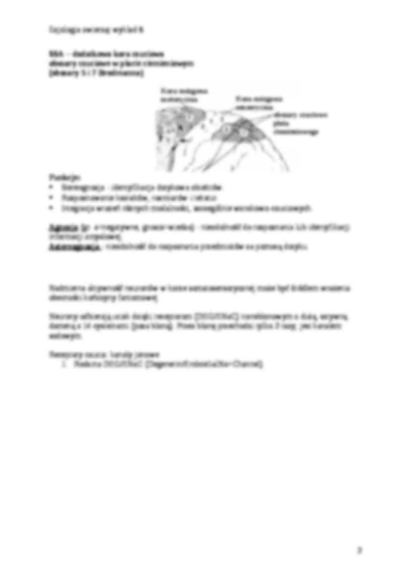 Mechanoreceptory, termoreceptory i nocyceptory - strona 2