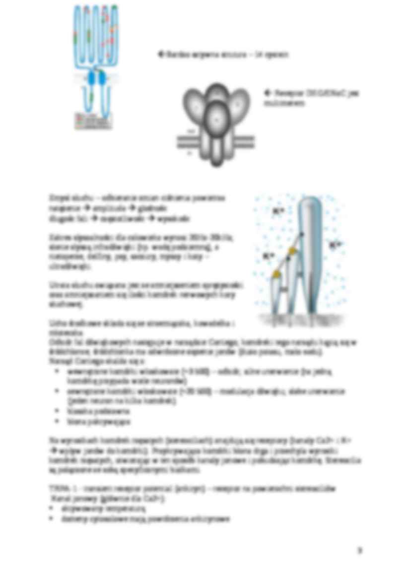 Mechanoreceptory, termoreceptory i nocyceptory - strona 3