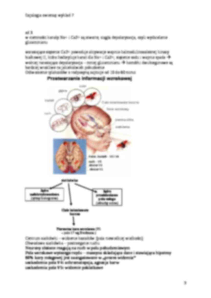 Fizjologia zwierząt - wzrok - strona 3
