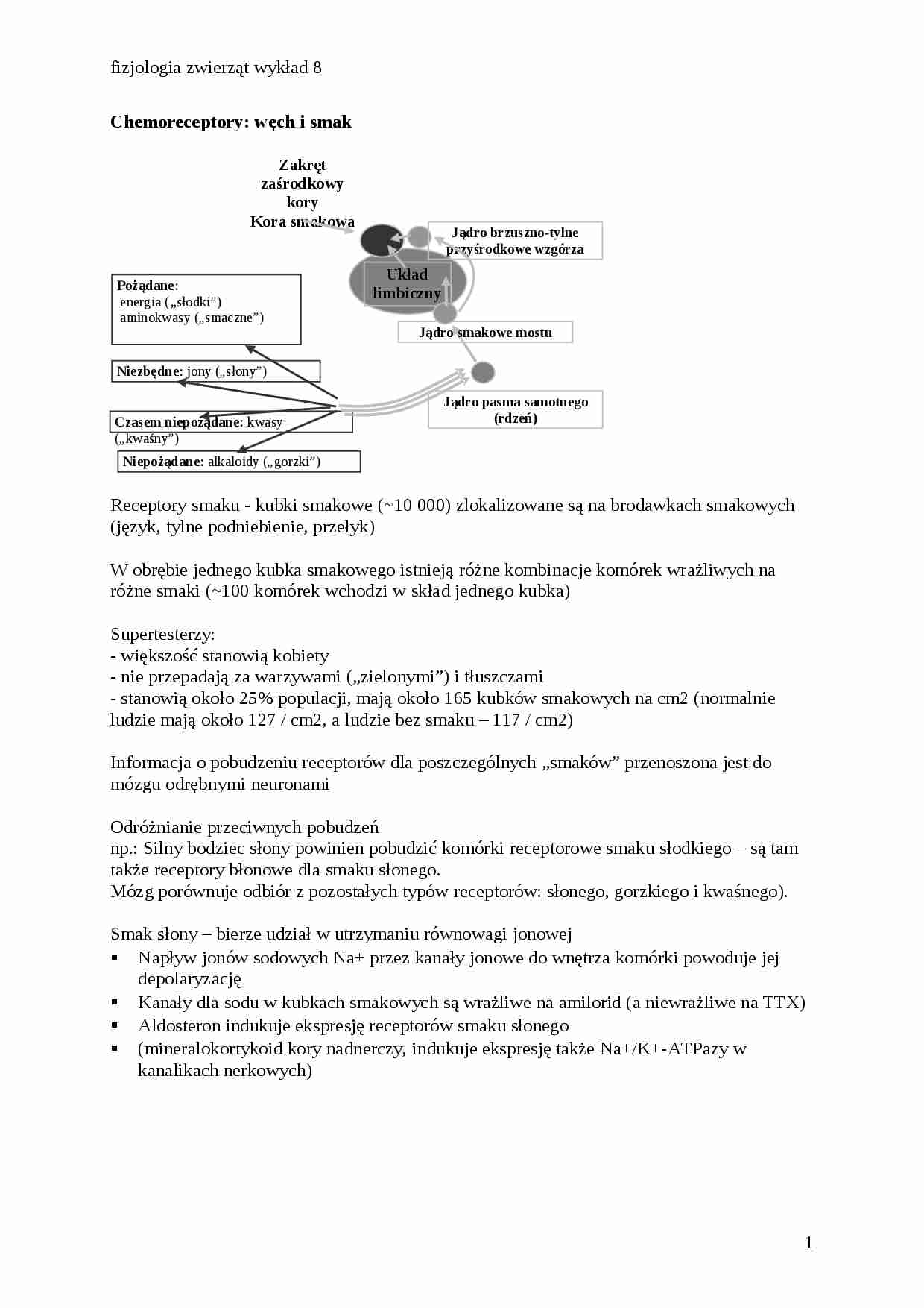 Chemoreceptory : węch i smak - strona 1