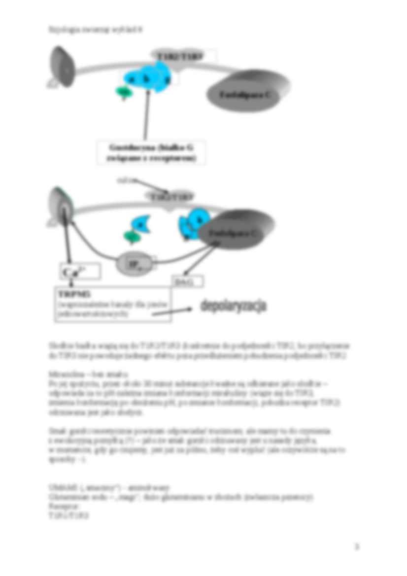 Chemoreceptory : węch i smak - strona 3