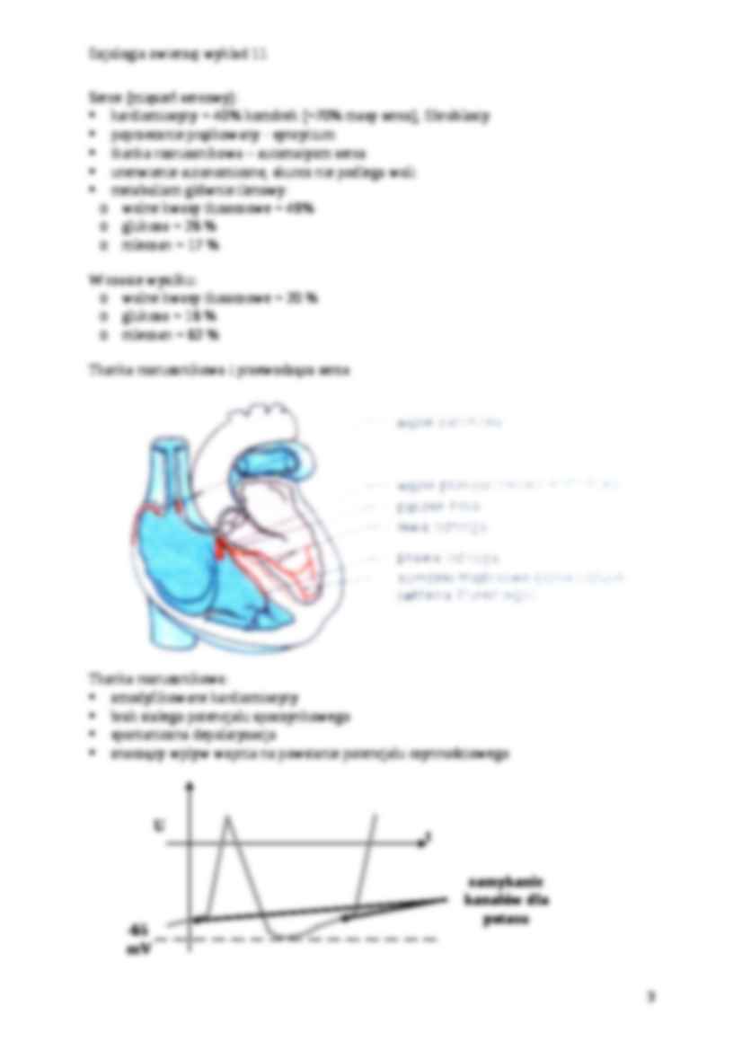 Fizjologia zwierząt - krążenie - strona 3