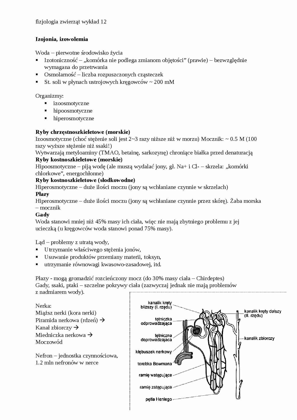 Fizjologia zwierząt - ozojonia, izowolemia - strona 1