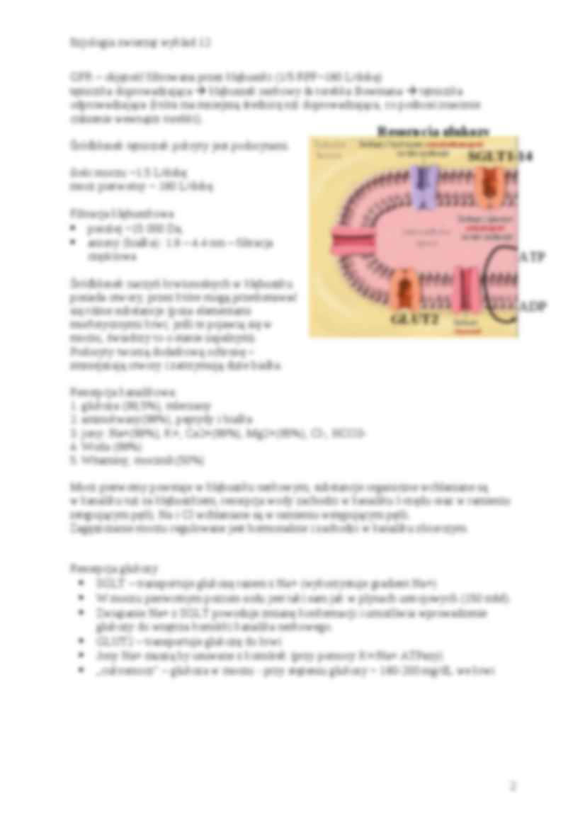 Fizjologia zwierząt - ozojonia, izowolemia - strona 2