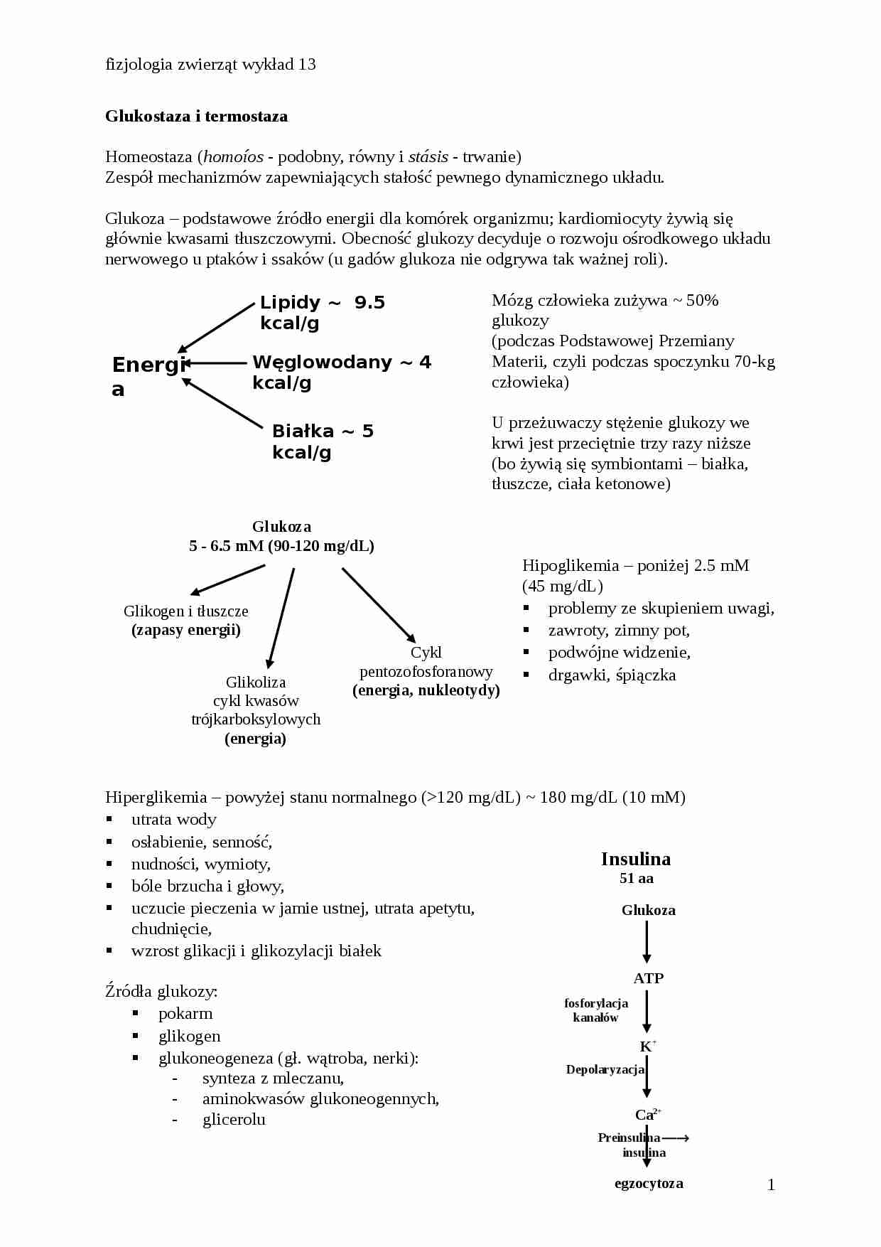 Fizjologia zwierząt - glukostaza, termostaza - strona 1