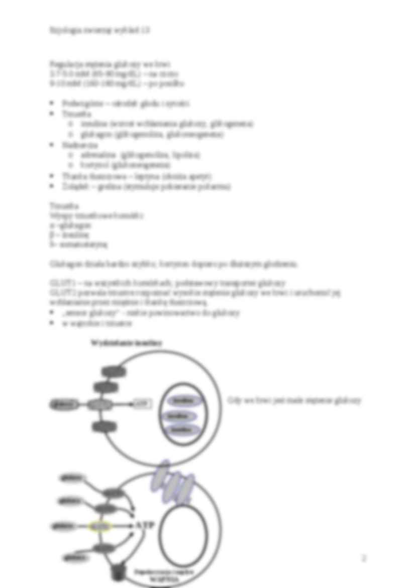 Fizjologia zwierząt - glukostaza, termostaza - strona 2