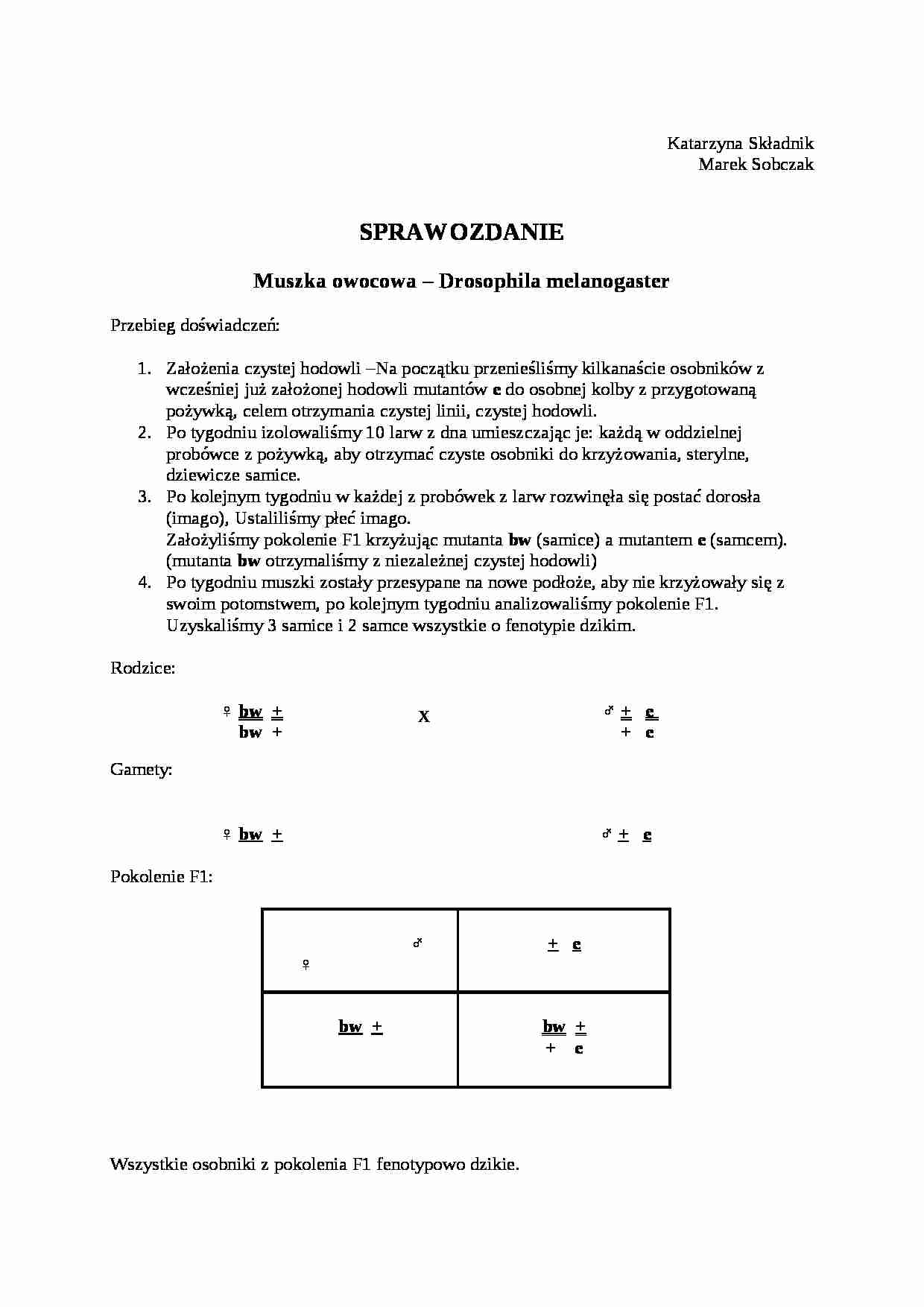Doświadczenie z muszką owocową - strona 1