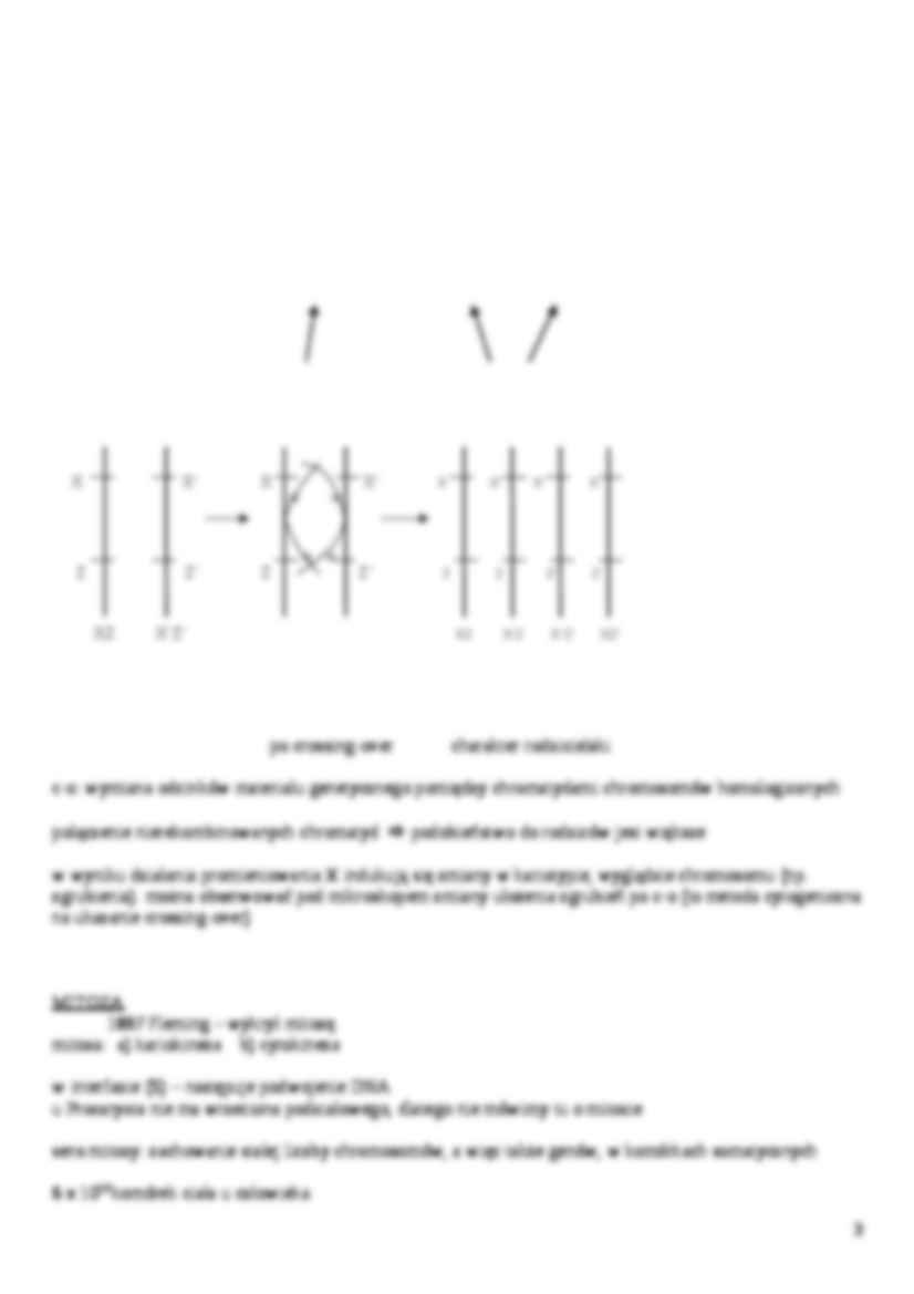 Genetyka - prawa Mendla - strona 3