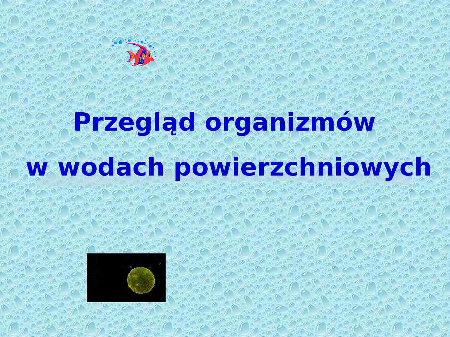 Organizmy w wodach powierzchniowych cz.I - strona 1