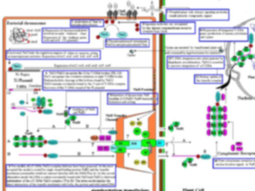 Techniki biologii molekularnej- wykład 4 - strona 3