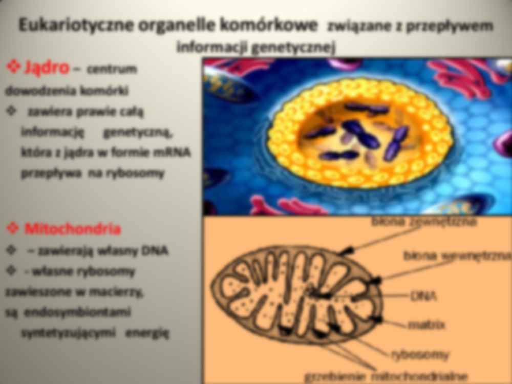 Genetyka ogólna i weterynaryjna - strona 3