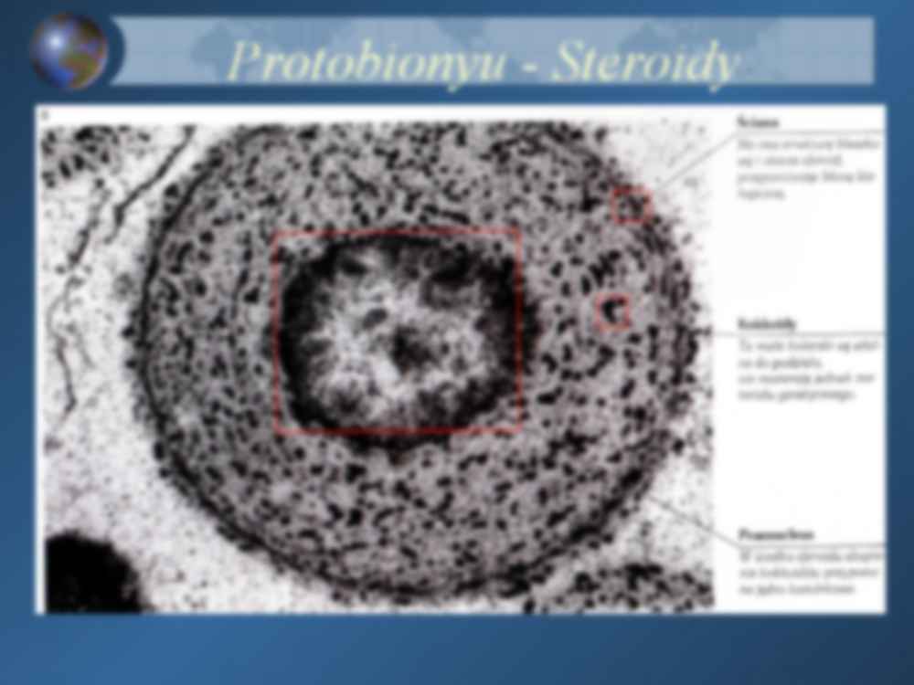 Historia i ewolucja biosfery - strona 3