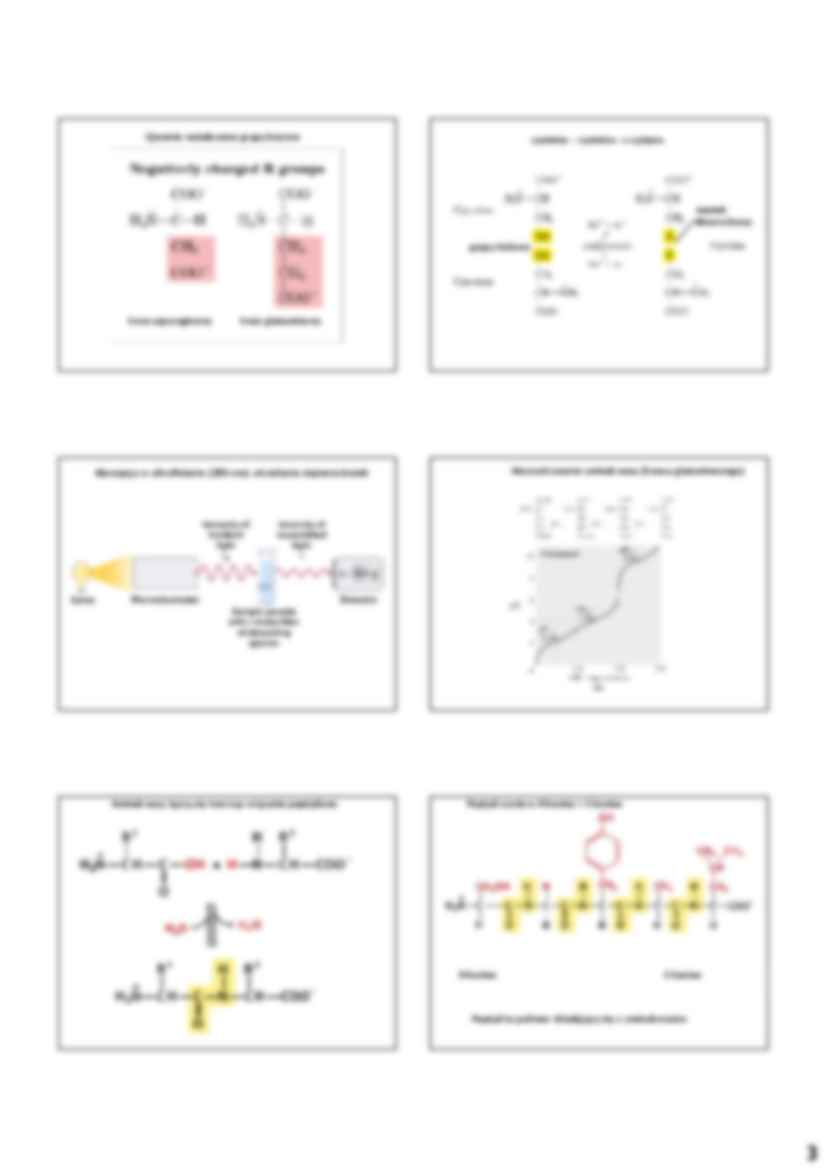 Hierarchiczna budowa komórki - strona 3