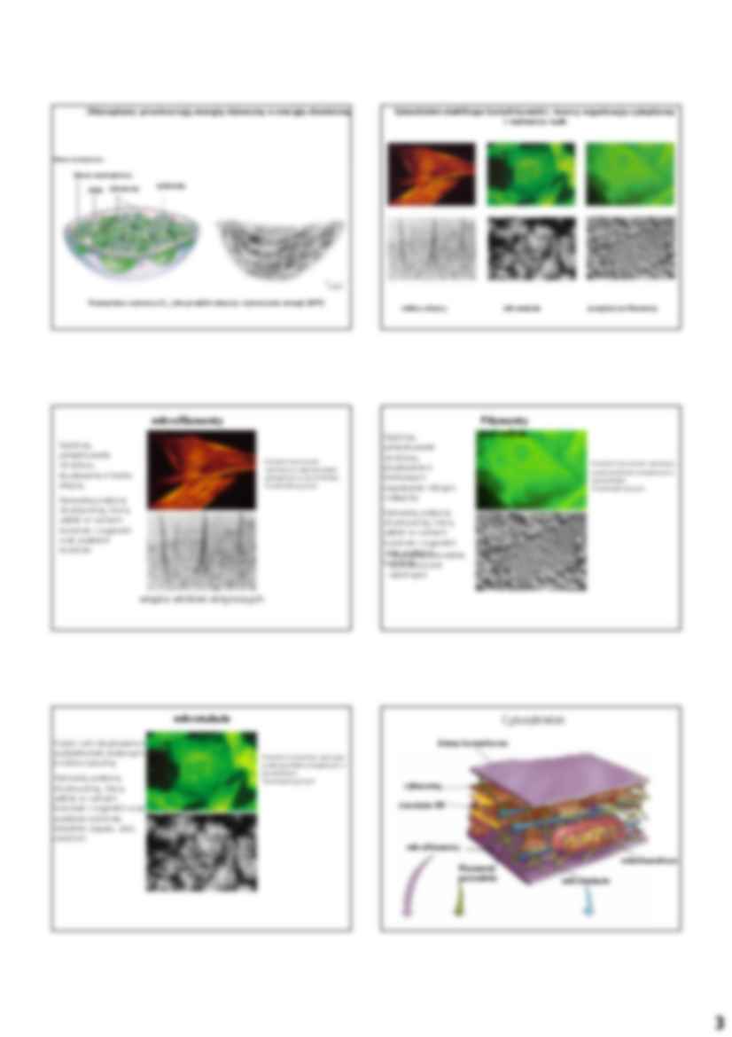 Wstęp do biochemii - strona 3