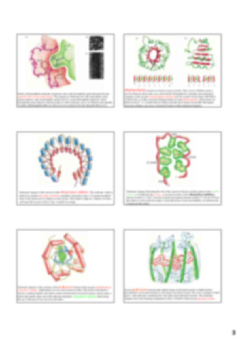 Biochemia - białka (2) - strona 3