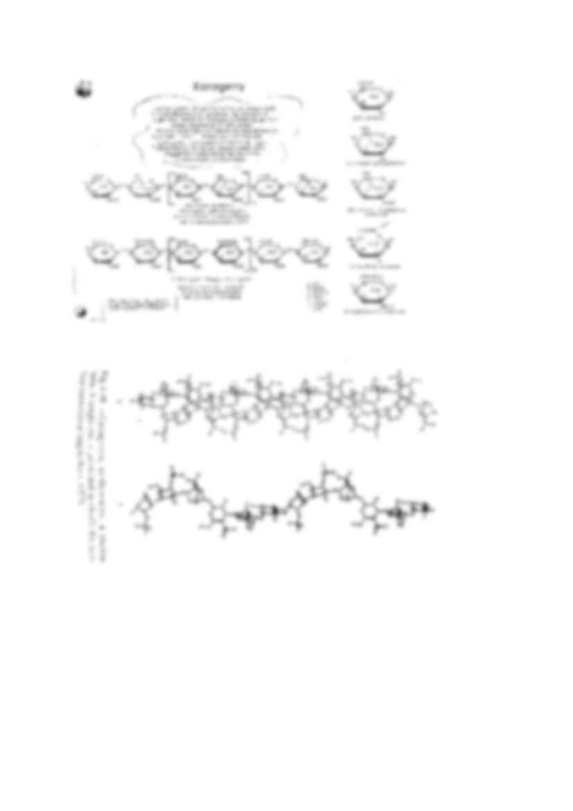Alginiany i Karageny - strona 3