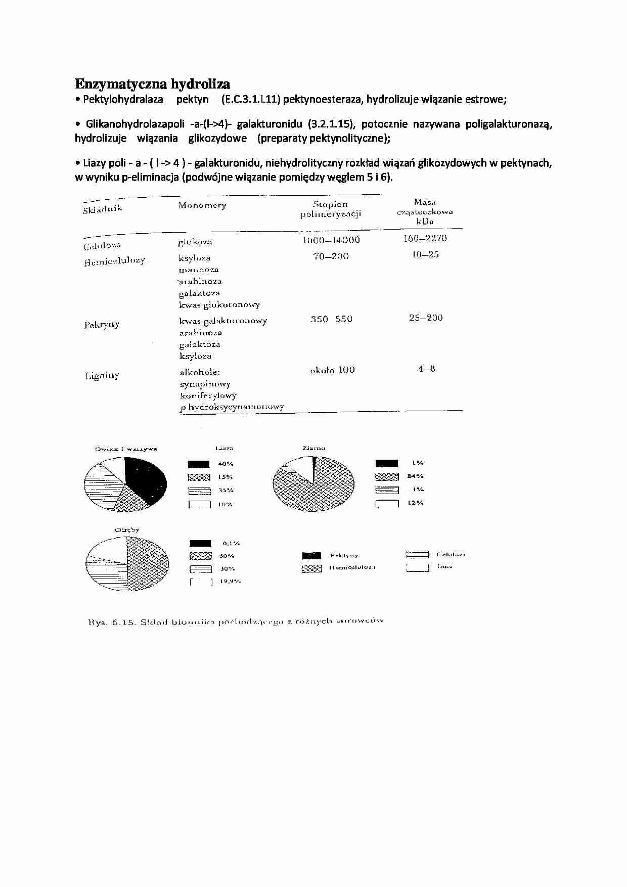 Enzymatyczna hydroliza - strona 1