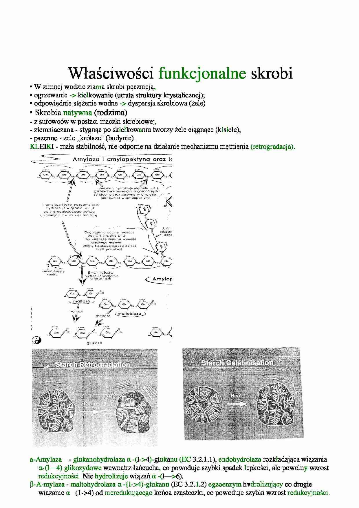 Właściwości funkcjonalne skrobi - strona 1