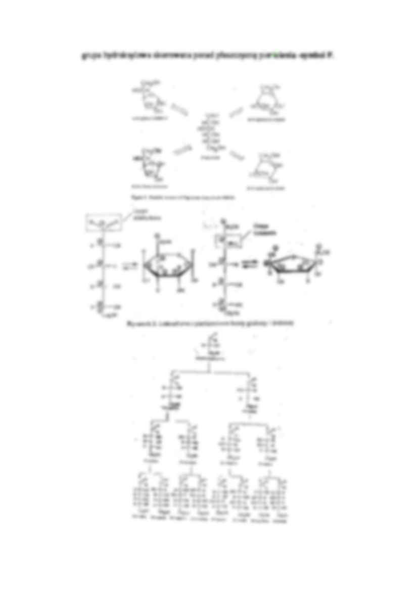 Węglowodany - strona 2