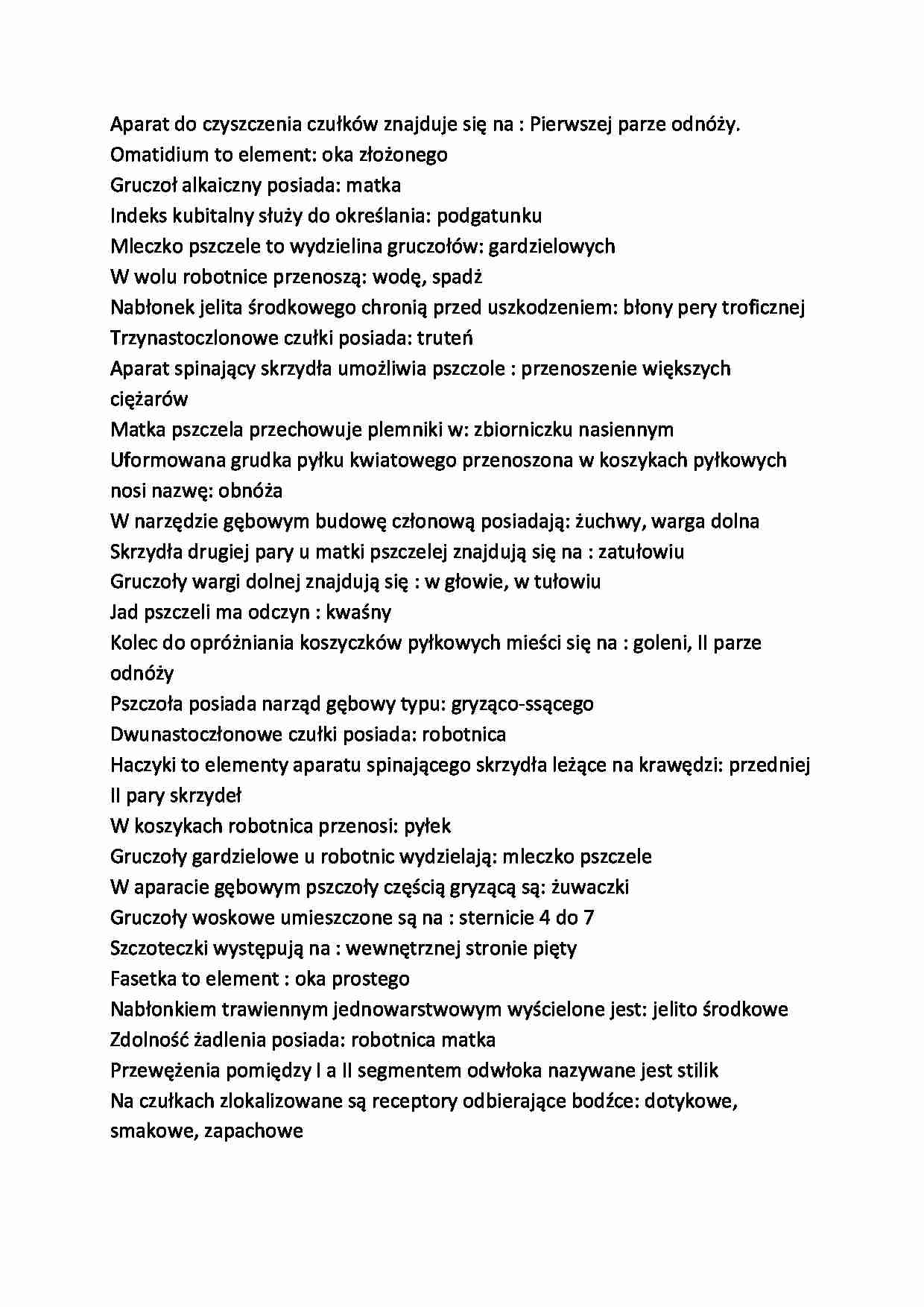 pszczoły - strona 1