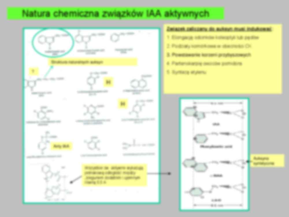 Wykład 3 - fizjologia rozwoju roślin - strona 3