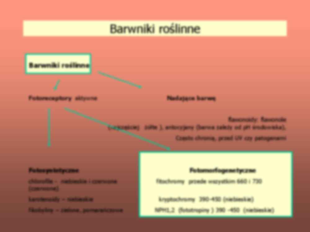 Wykład  11 - fizjologia rozwoju roślin - strona 3