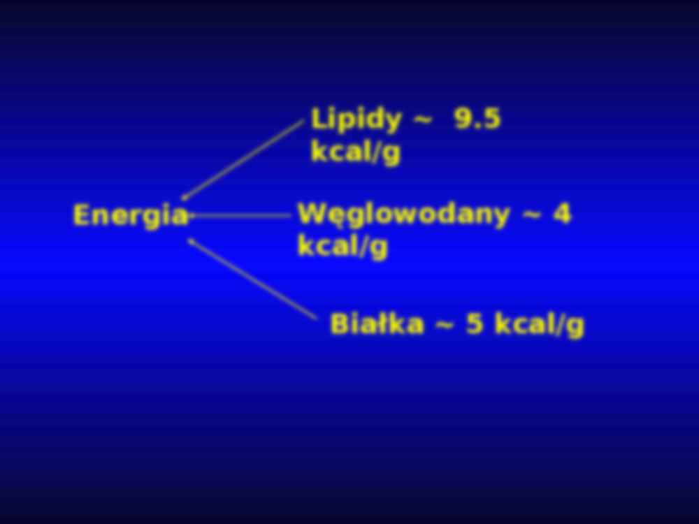 Fizjologia molekularna - glukostaza - strona 2