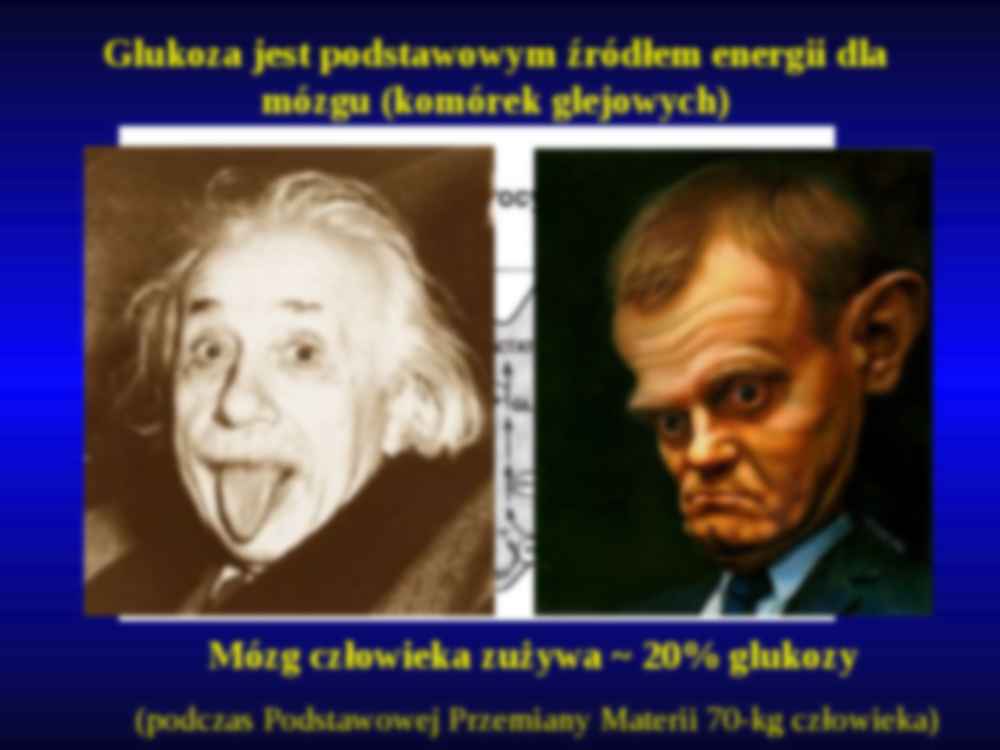 Fizjologia molekularna - glukostaza - strona 3