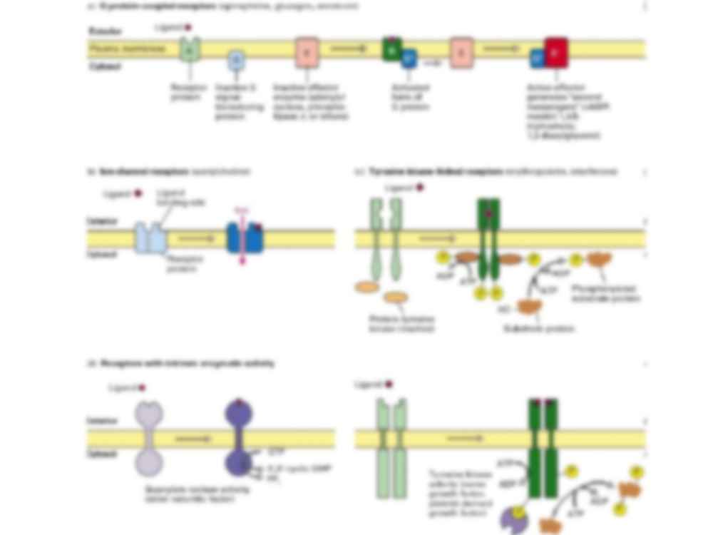 Fizjologia molekularna - Kinazy tyrozynowe - strona 3