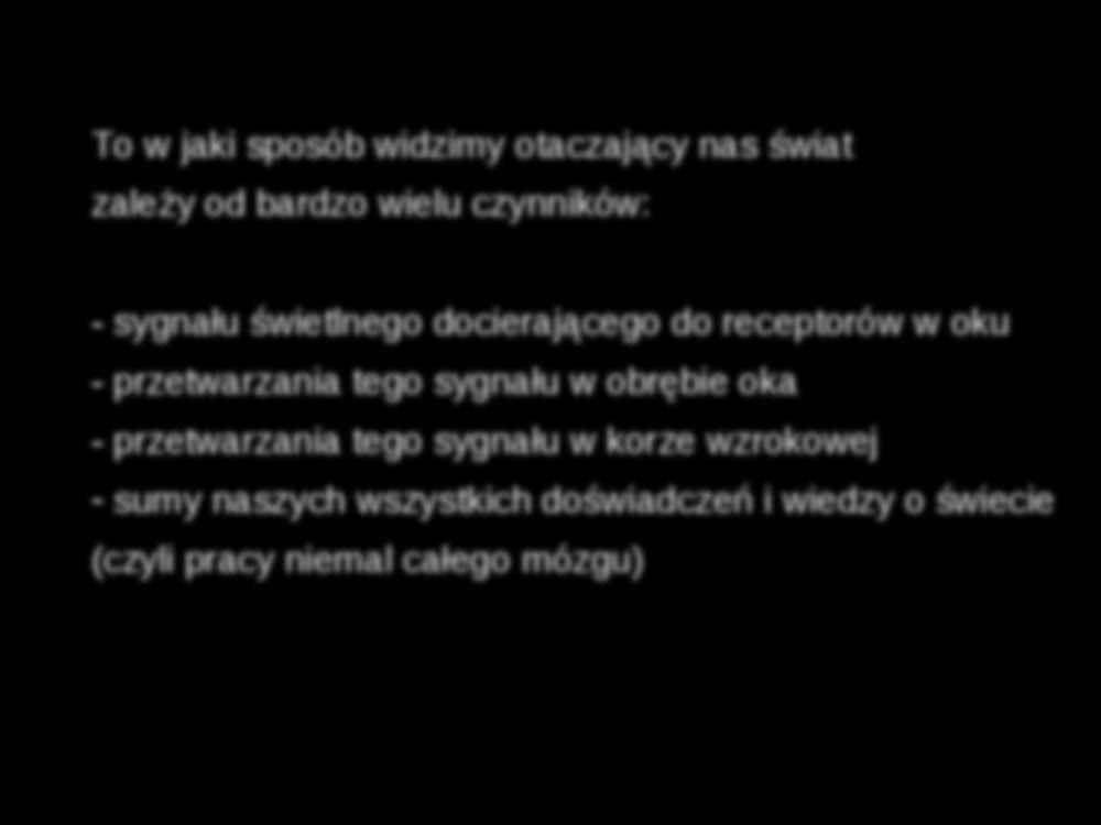 Wzrok- prezentacja  - strona 2