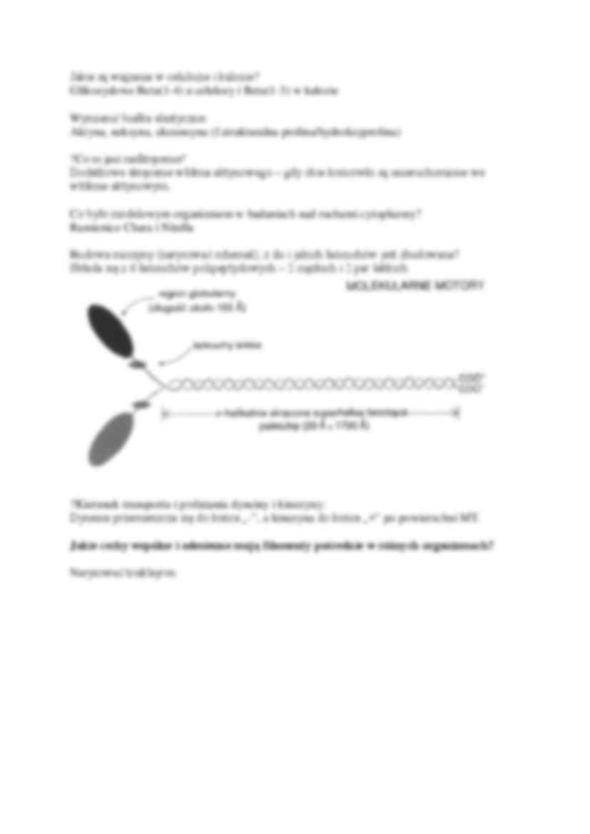 pytania egzaminacyjne - Etylen - strona 3