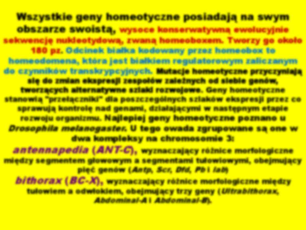 Mutacje genowe w komórkach somatycznych - strona 3