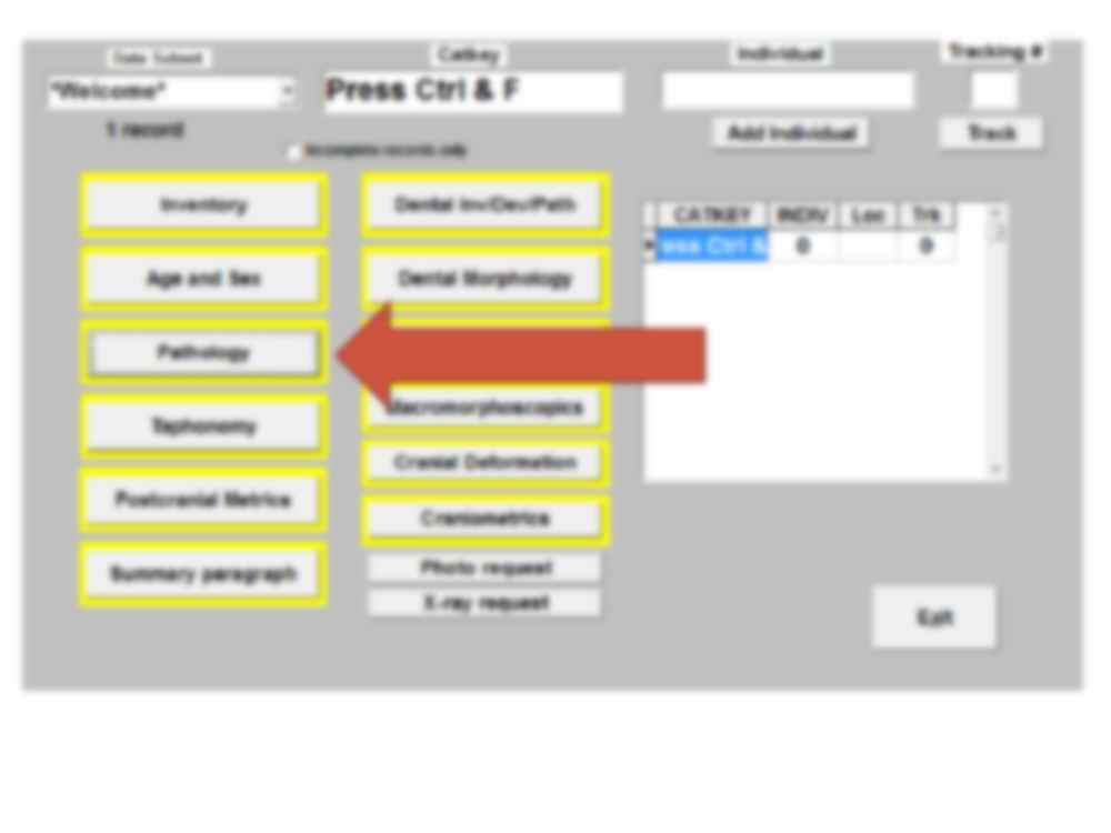Program Osteroware - Pory i kanały kości - strona 2