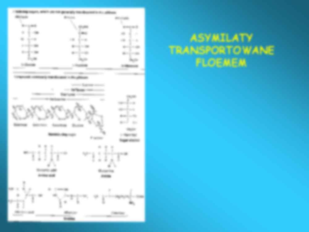 Biologia roślinna - transport asymilatów - strona 3