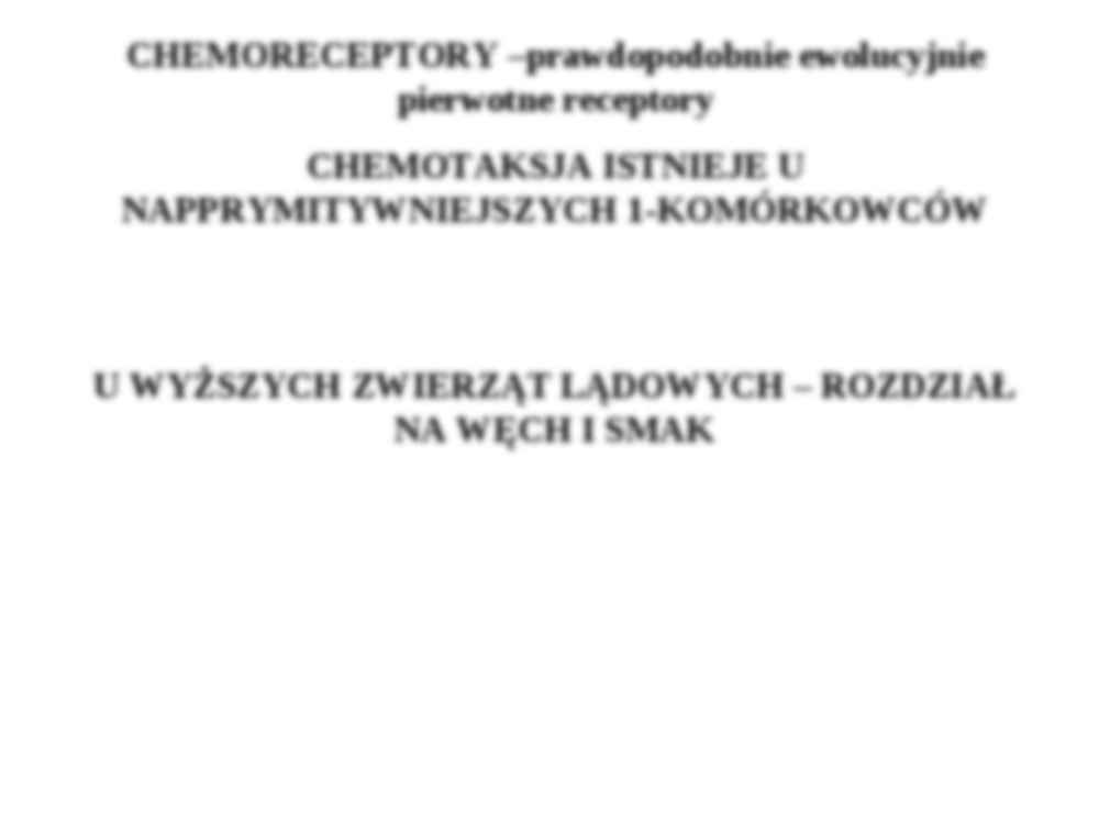 Chemoreceptory-rytmy biologiczne - węch, smak, rytmy biologiczne, sen - strona 3
