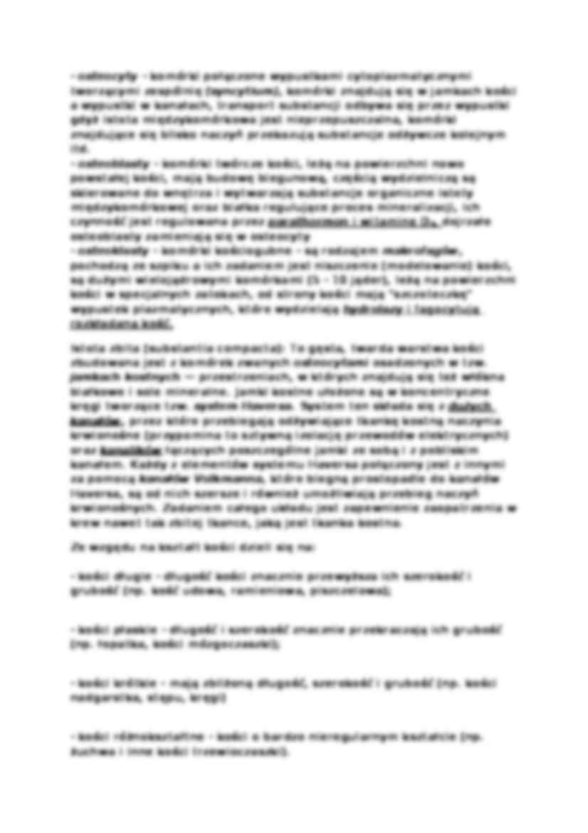 Anatomia człowieka - Wykład 1 - strona 2