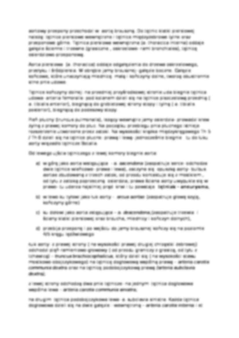 Anatomia człowieka - Wykład 7 - strona 3