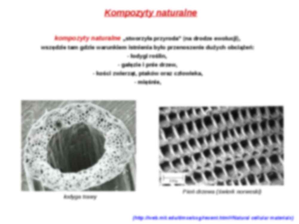 Inżynieria matematyczna - kompozyty - strona 3