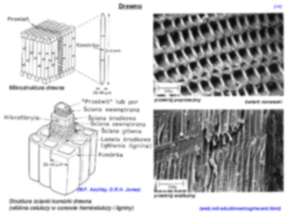 Małe elektrownie wode - Wykład 12 - strona 3