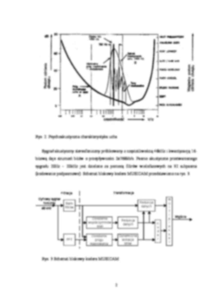 Standard DAB Eureka 147 - strona 2