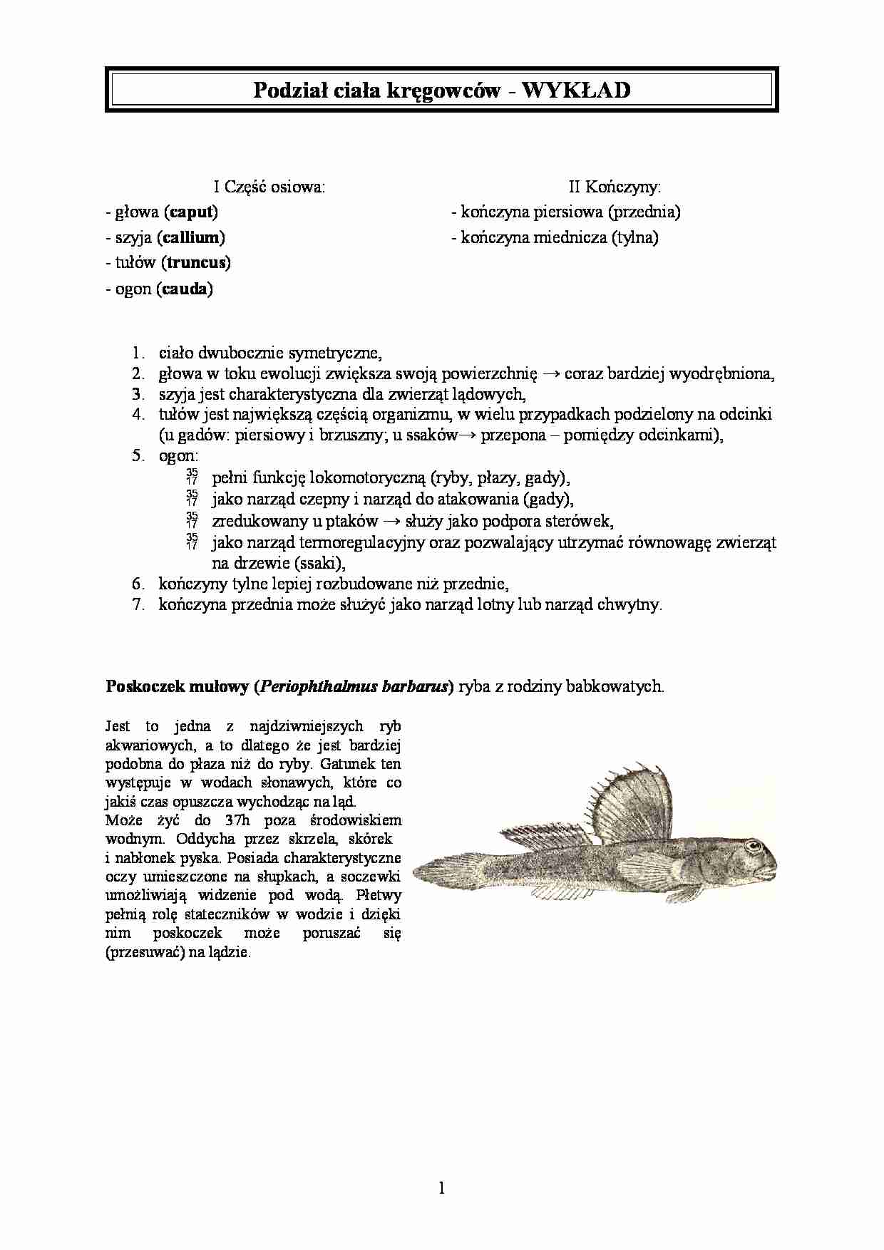 Podział ciała kręgowców - strona 1
