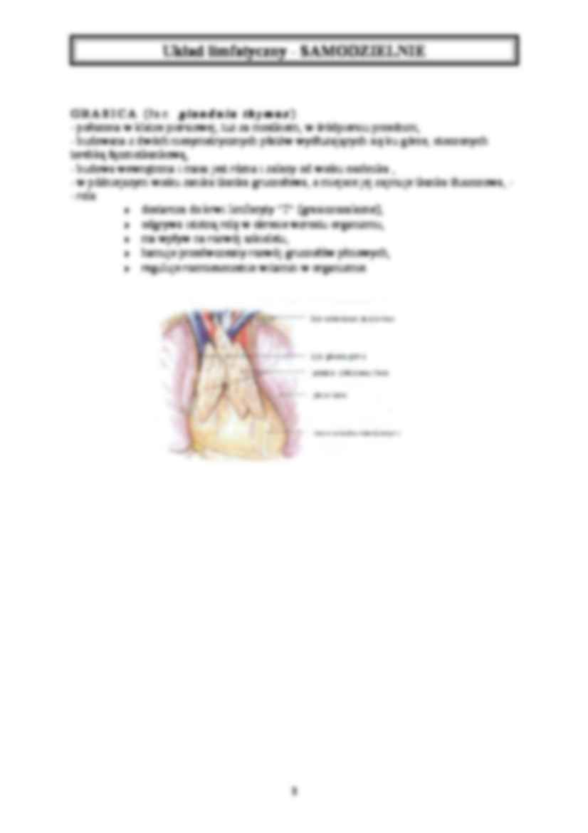 Układ krwionośny - strona 3
