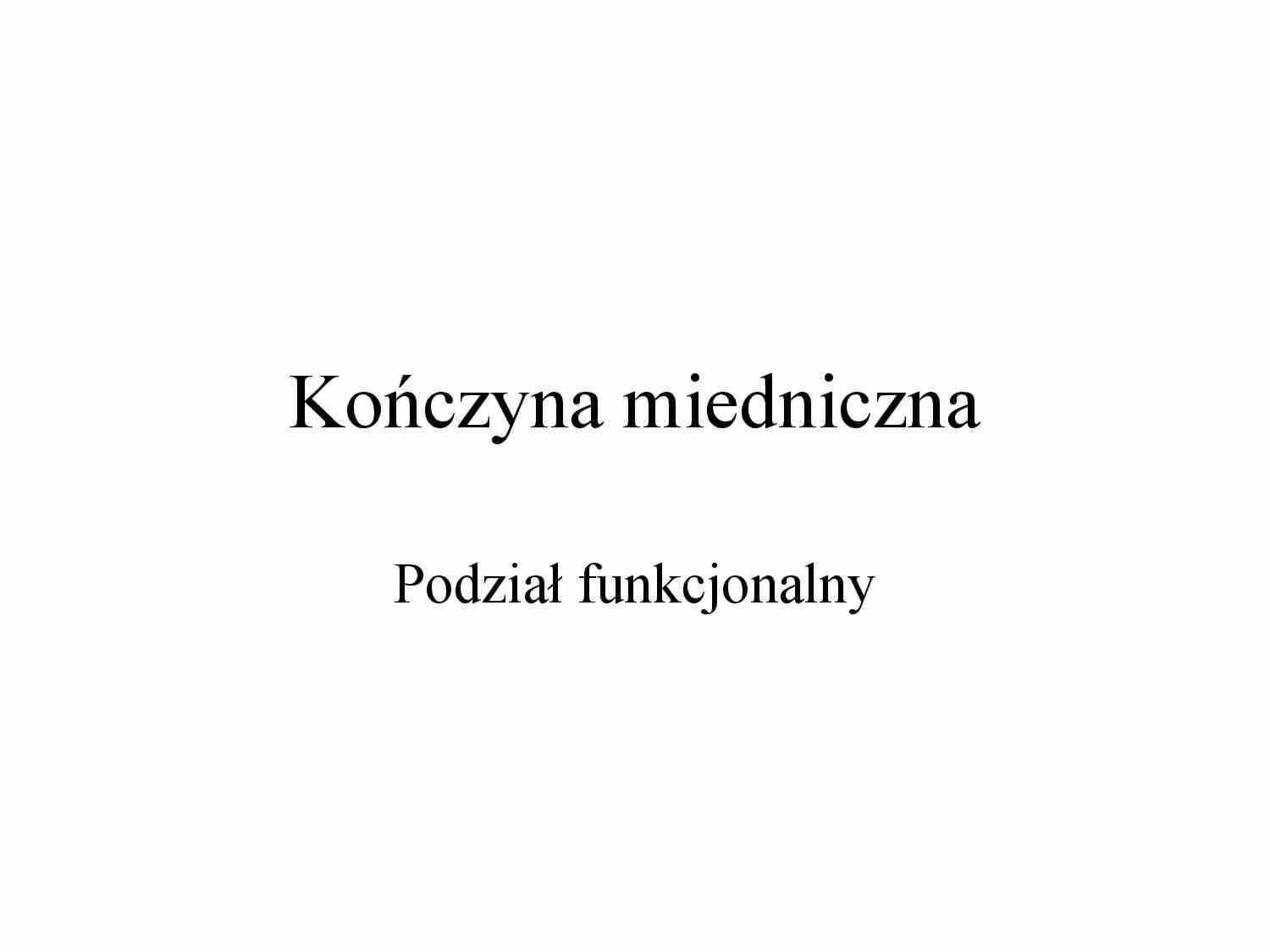 Kończyna miedniczna -podział funkcjonalny - strona 1