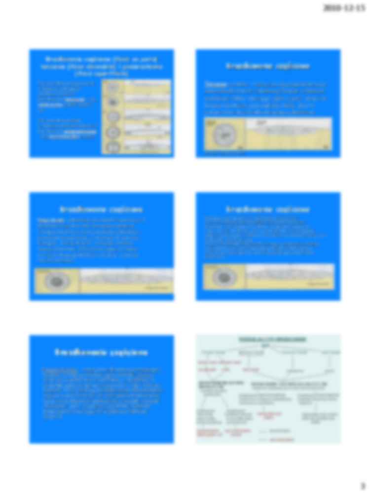 Etapy rozwoju zarodkowego - strona 3