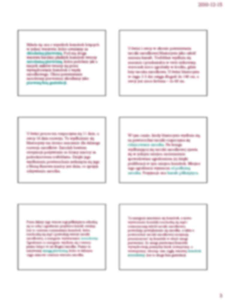 Rozwój zarodków świni i owcy - strona 3