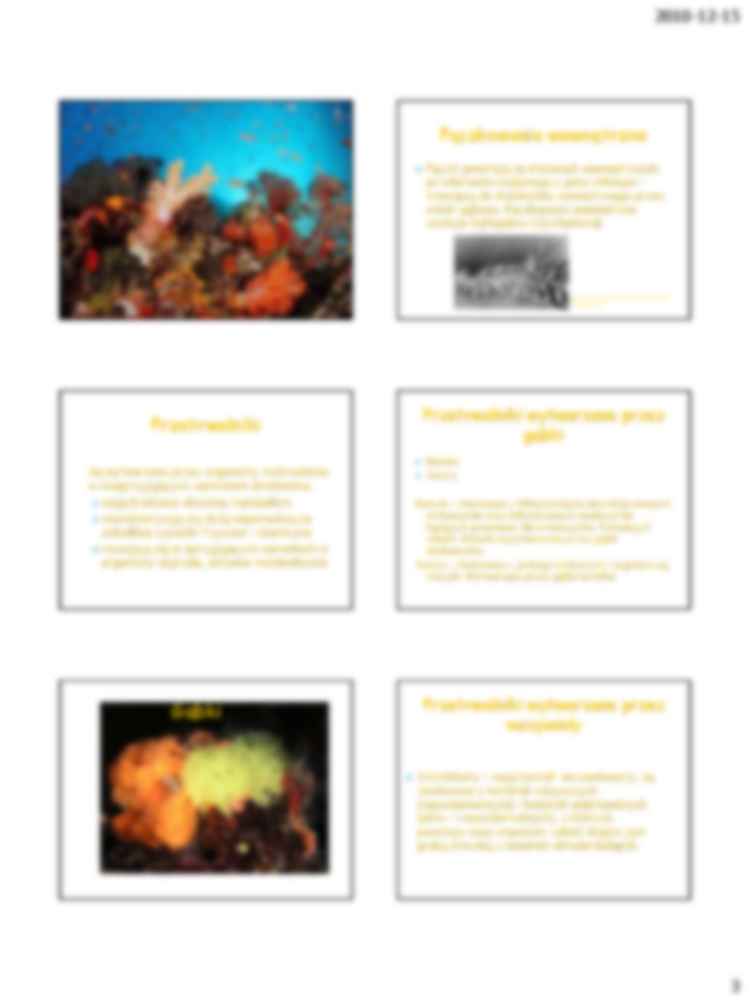 Wykład wprowadzający z embriologii - strona 3