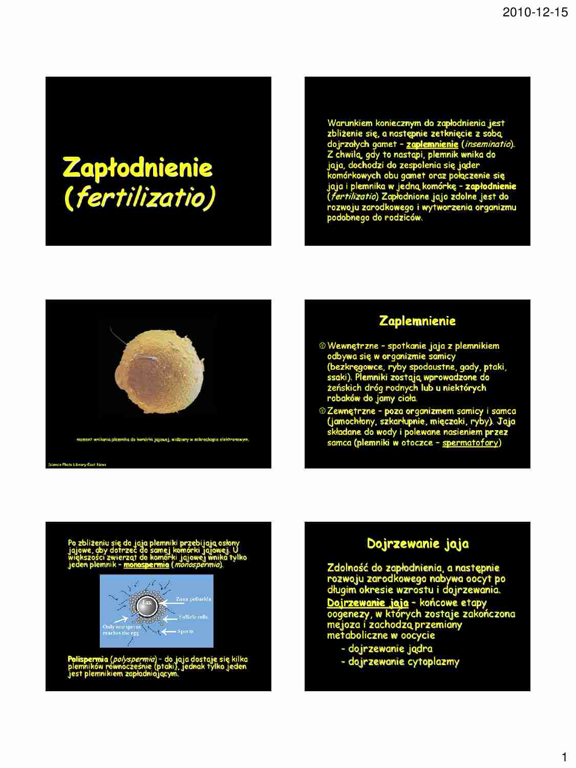 Zapłodnienie - strona 1