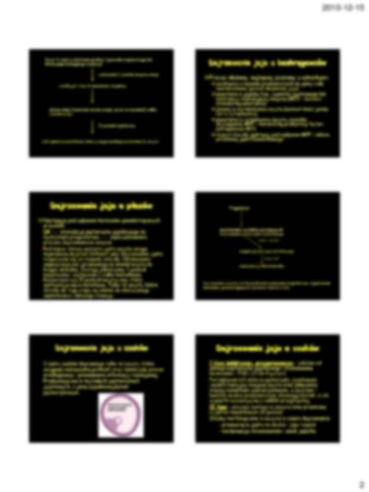 Zapłodnienie - strona 2