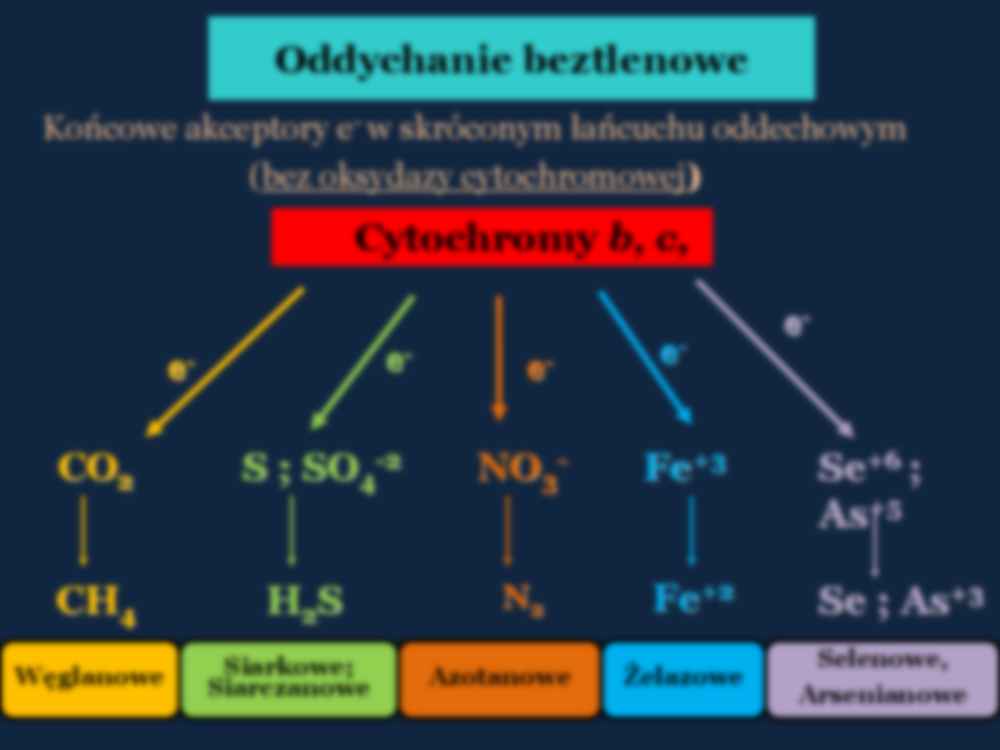 Mikrobiologia - wykład 15 - strona 2